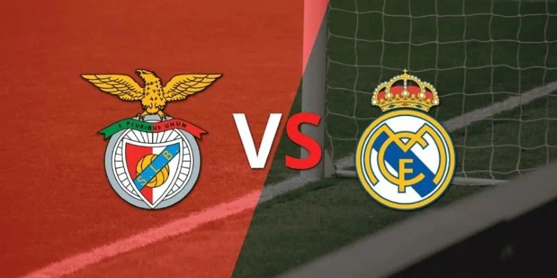 Soi kèo Benfica vs Real Madrid, 3h ngày 29/01 - Cúp C1 3 Soi kèo Benfica vs Real Madrid, 3h ngày 29/01 – Cúp C1