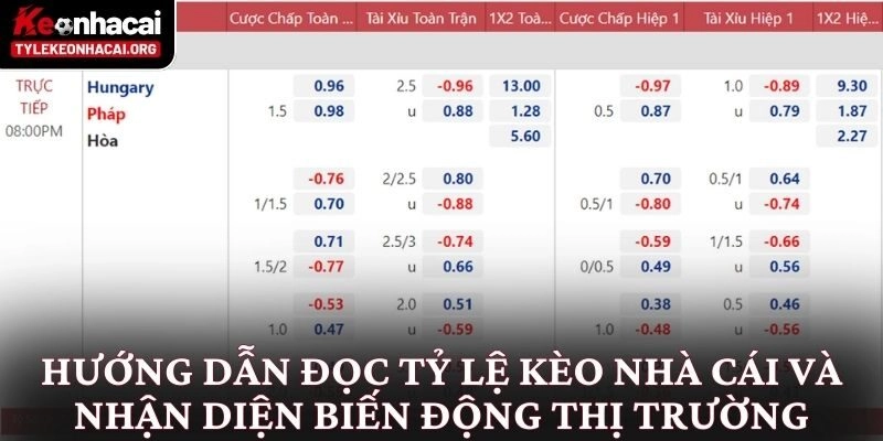Tỷ Lệ Kèo Nhà Cái 5 ⭐️ Bảng Kèo Bóng Đá Trực Tuyến Hôm Nay 17 Hướng dẫn đọc tỷ lệ kèo nhà cái và nhận diện biến động thị trường